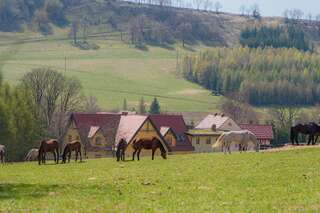 Фото Фермерские дома Stajnia u Kalinów г. Unisław Śląski